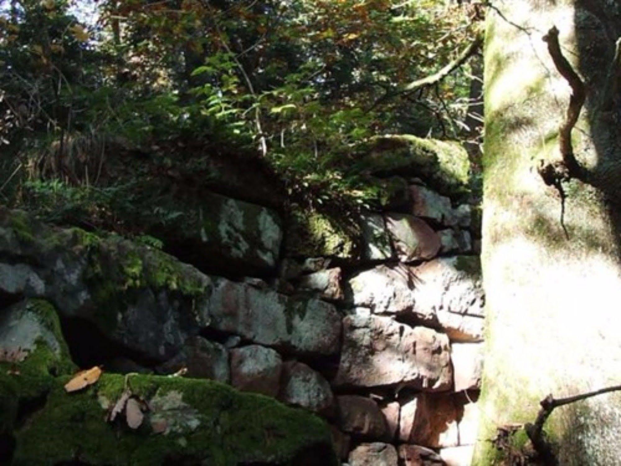 Auberge D'Hotes L'Instant Le Hohwald Exterior foto
